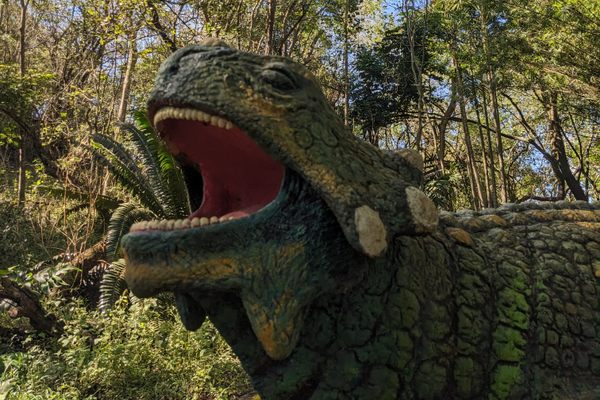 Sudwala Dinosaur Park