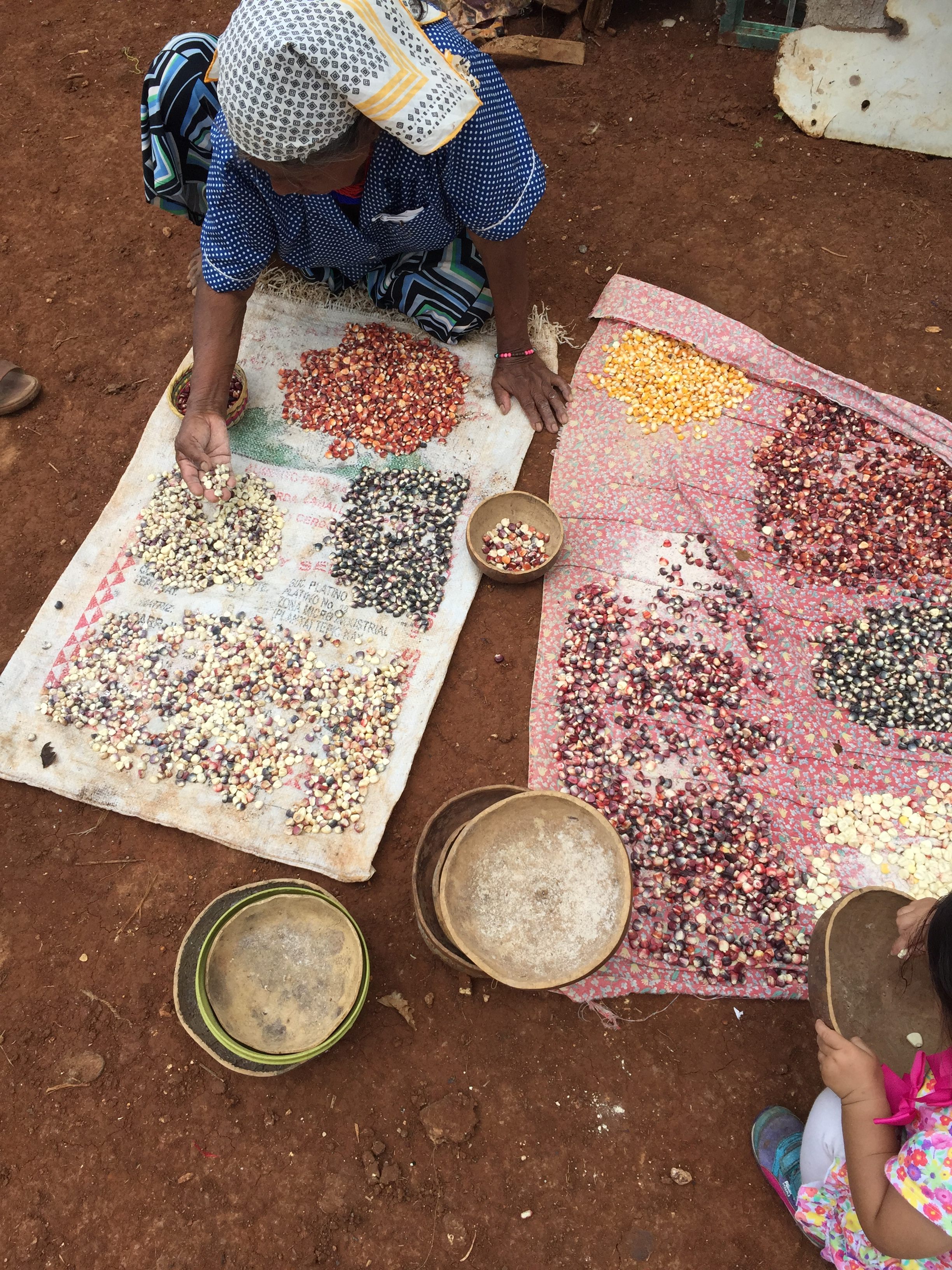 Cyndy Garcia-Weyandt's daughter and godmother select seeds of Our Mother Corn.