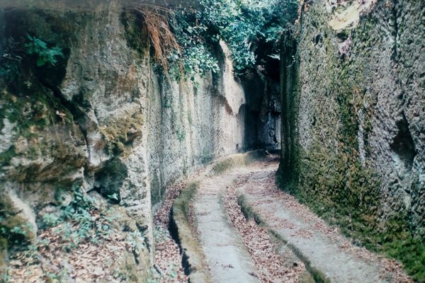Vie Cave 