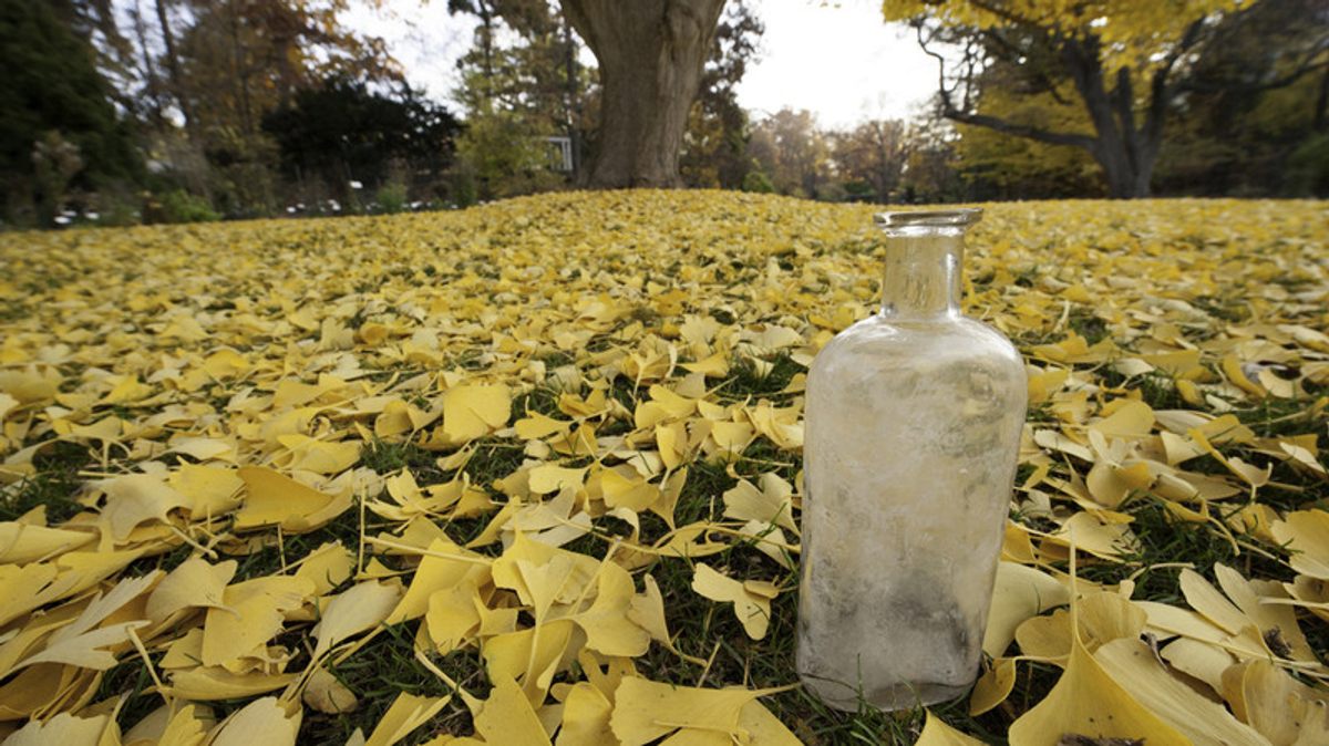 The 15th of 20 seed bottles that make up the world’s longest-running experiment “Some people say it looks like a whiskey flask,” says curator Dr. Frank Telewski.
