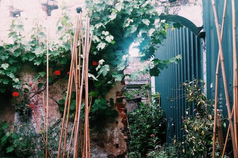 Inside the garden.