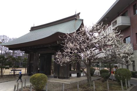 Yakuimon Gate. 