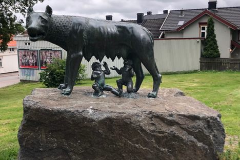 The wolf in the summer months.