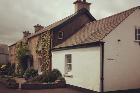 Ballylagan Organic Farm 