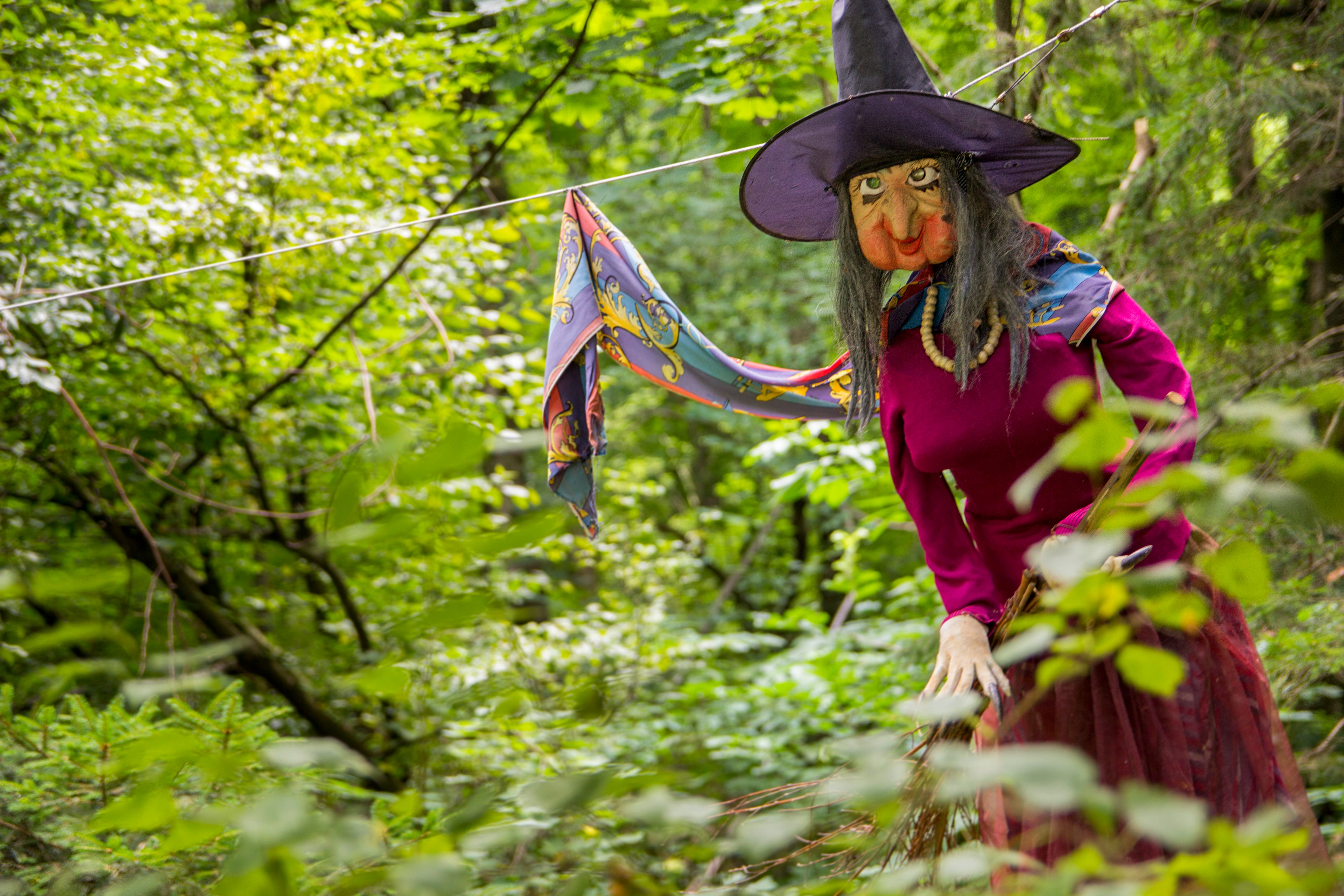 In a Slovenian Forest, Fairy Tales Come to Life - Atlas Obscura