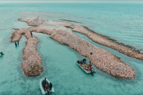 The conch midden.