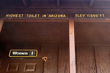 The toilet's signage.