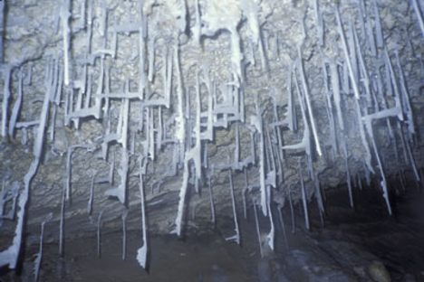 Flagged soda straws point towards the cave's entrance.