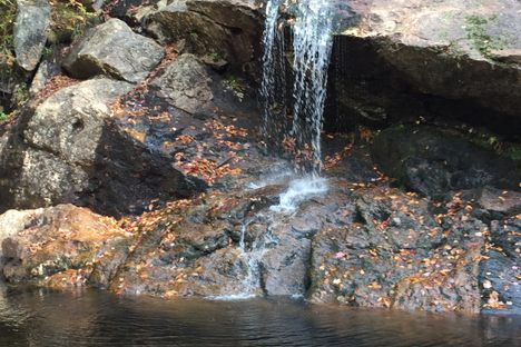 Thompson Falls