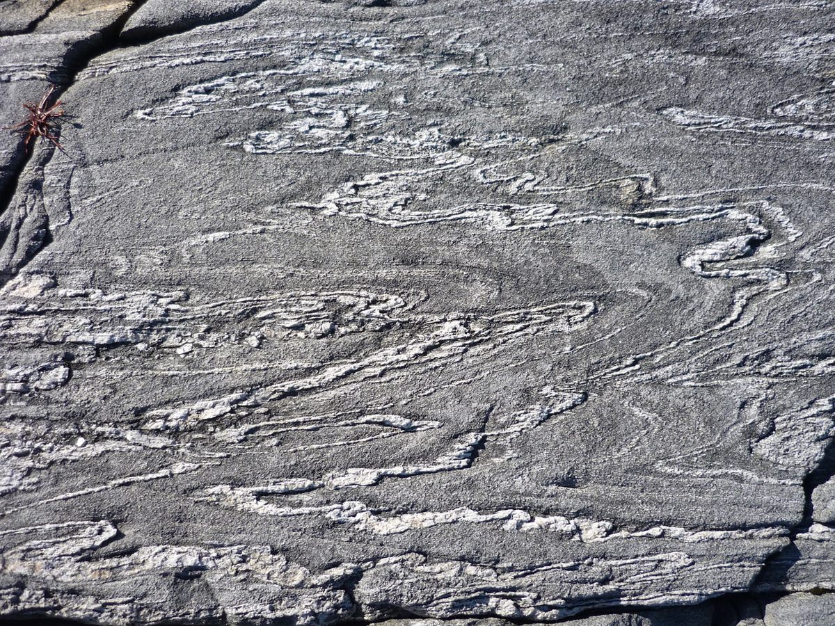 Surface rock in Western Greenland.