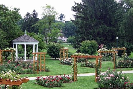 Malcolm Gross Rose Garden