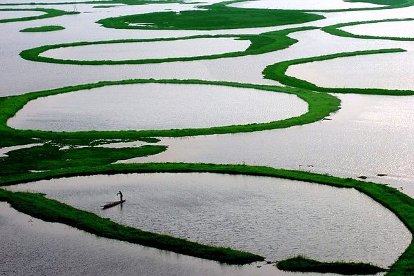 A fisherman searches for a catch in his athapum. 