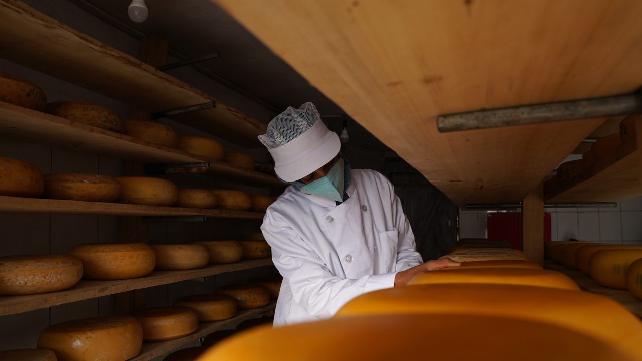 Cheese-maker Amna Khatana inside the factory in Langanbal.