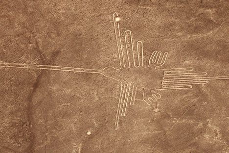 To Decipher Peru’s Nazca Lines, Think Like an Ornithologist