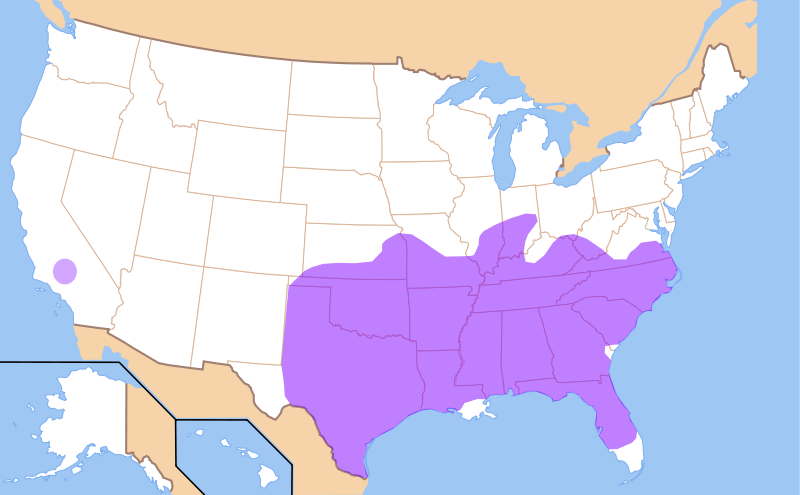 Interesting 1976 map of English dialects in Texas, demonstrating the divide  between the more Deep Southern accent of East Texas (drawl) vs. the more  Appalachian accent of North and West Texas (twang) 