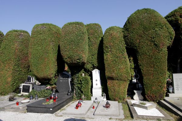 Varaždin Cemetery.