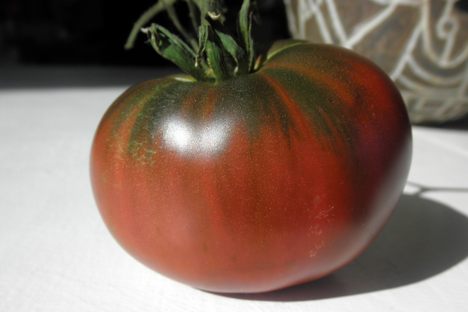 A homegrown Paul Robeson tomato.