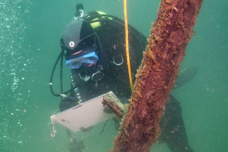 A diver examines the timber Steve Libert believes to be part of the Griffon prior to its excavation in 2013.