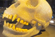 The Diamond Ape Skull at the Diamond Museum. 