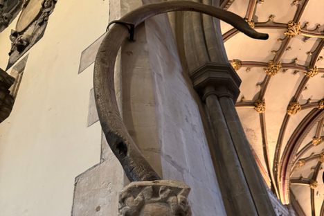Greenman and John Cabot's whale bone