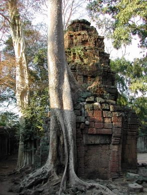 Ta Prohm – Siem Reap, Cambodia - Atlas Obscura