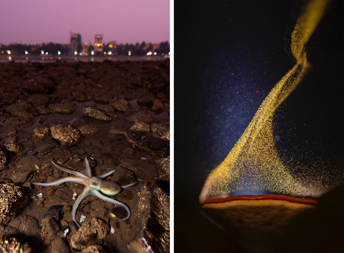 An octopus at Mumbai's Juhu Beach (left); the award-winning <em>Goblet of Fire</em> image captures mushroom spores being carried off by the wind.