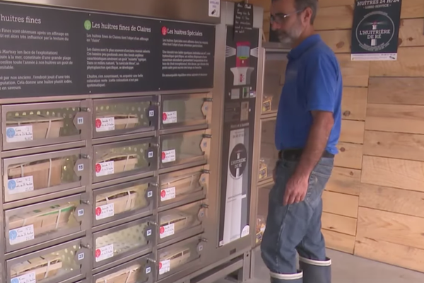 Oyster vending machine