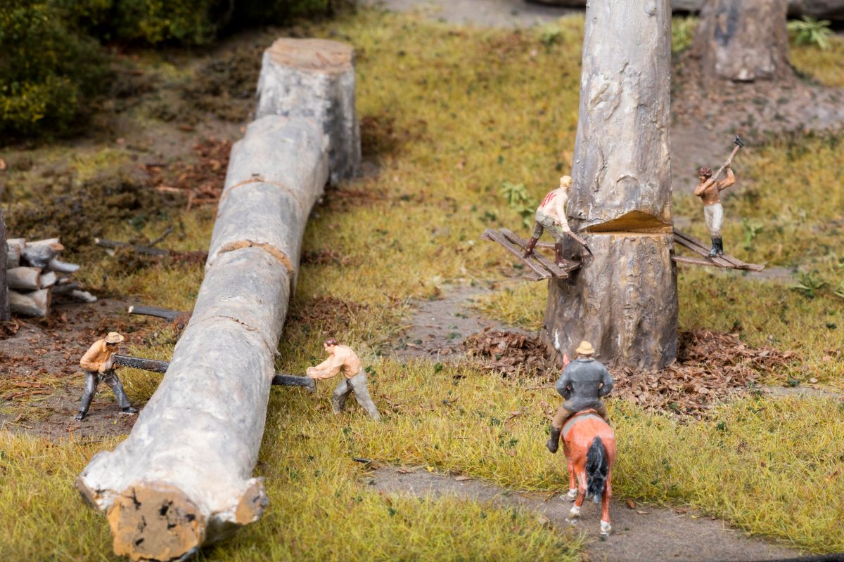 A group of incarcerated laborers chop down trees in Darug Country.