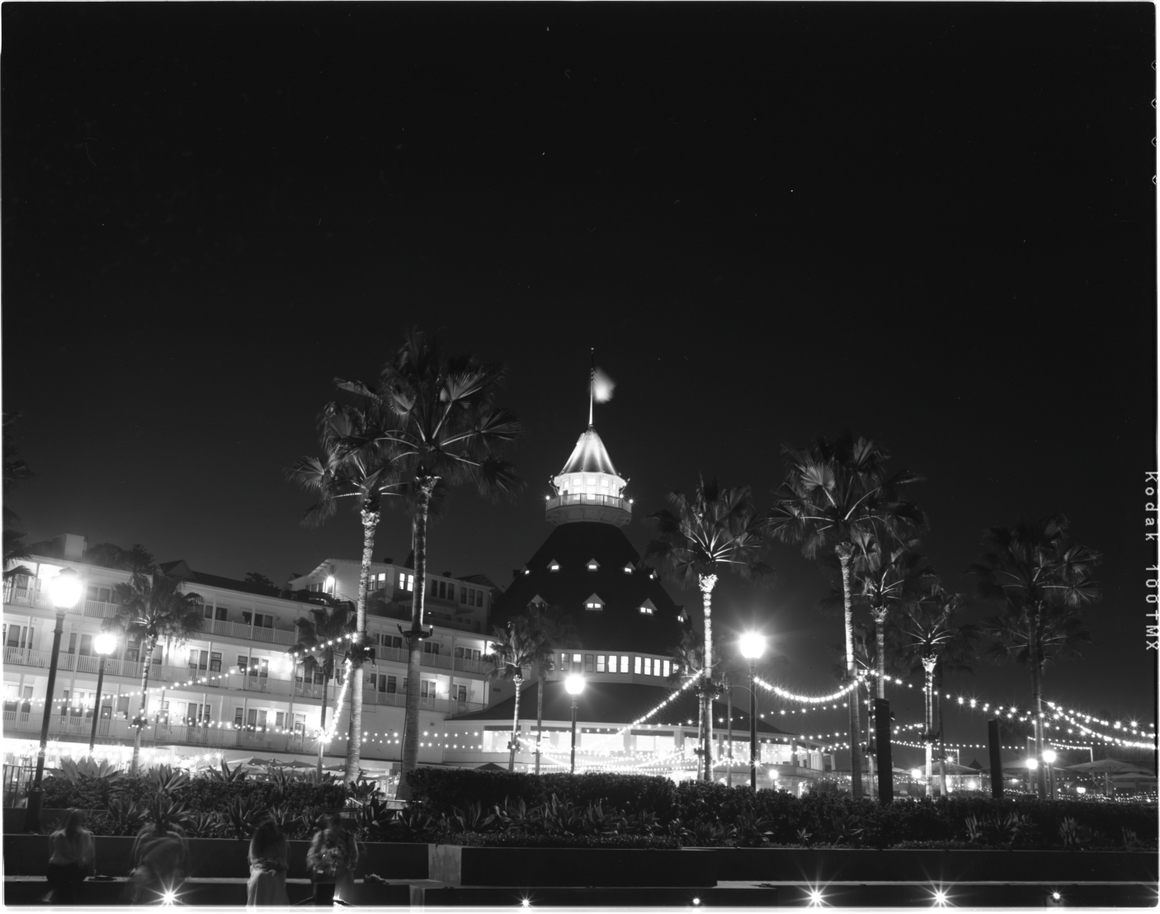 The Hotel Del Coronado from the beach