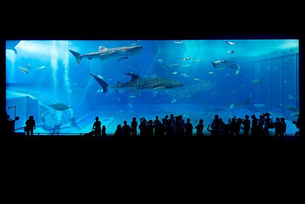 Zoos and Aquariums - Atlas Obscura Lists