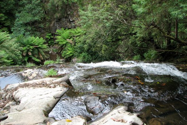 Tarra Falls