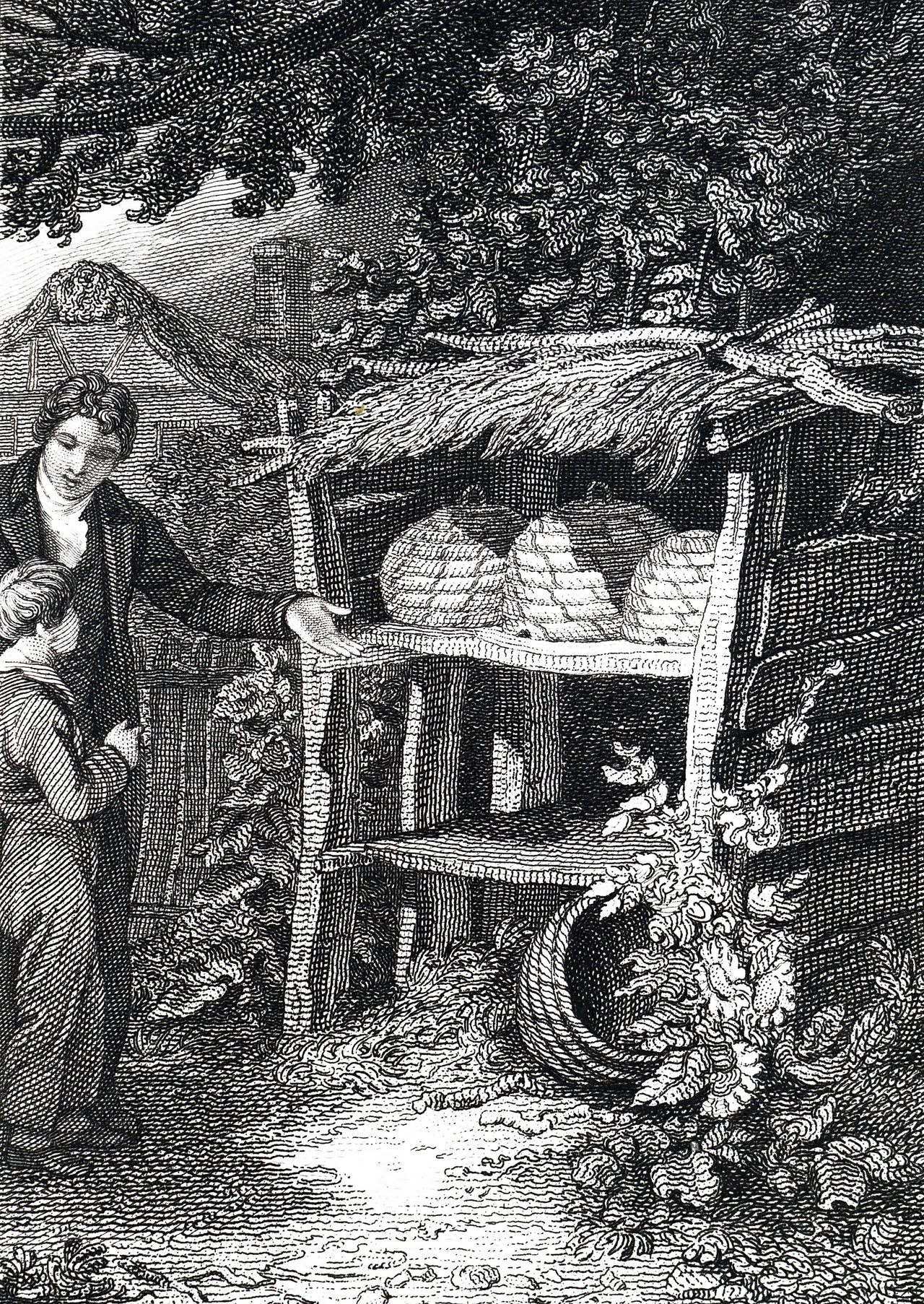 The 19th-century English artist John Romney depicted the all-important art of beekeeping.