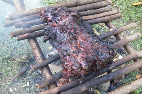 An agouti roasts over a modern-day boucan.