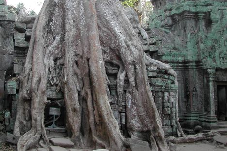 Featured Place: Ta Prohm