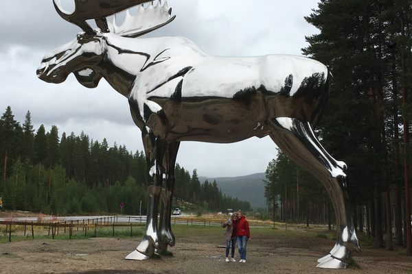 The Big Elk