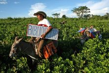 Burros Alfa and Beto, seen here with Luis Soriano in 2008, have been helping the teacher deliver books for more than 20 years.
