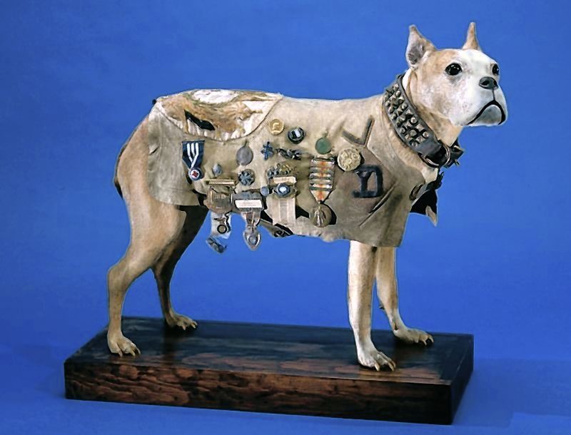 Sergeant Stubby