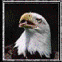 Profile image for bowlingvlxdavid