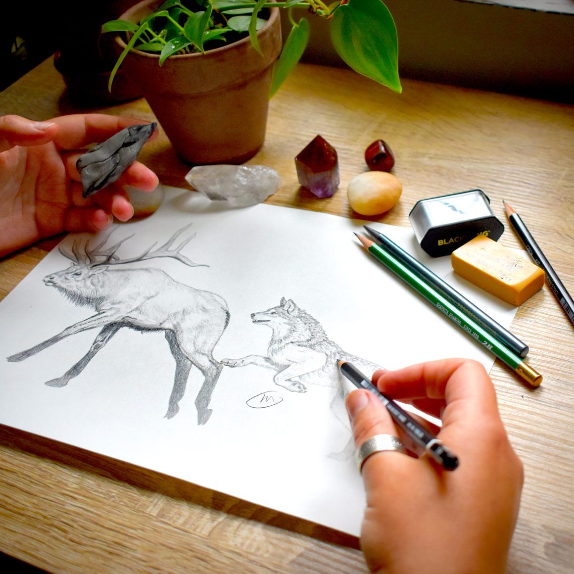 unique animal pencil drawings