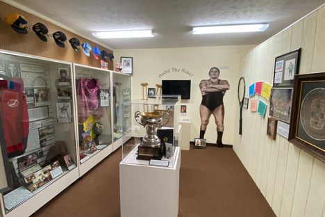 The Andre the Giant collection