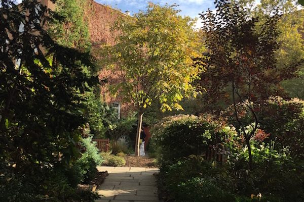 Barrow Street Garden