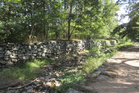 A section of the canal wall.