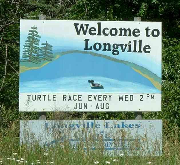 Longville Turtle Races – Longville, Minnesota - Atlas Obscura