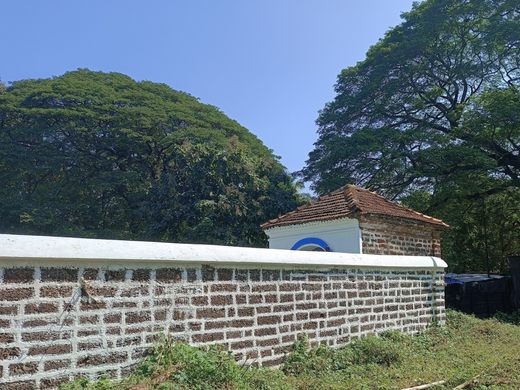 Old Goa Cemetery
