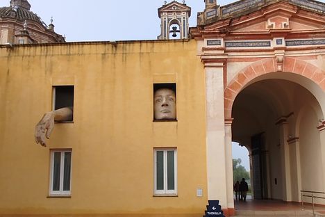 'Alicia' general view