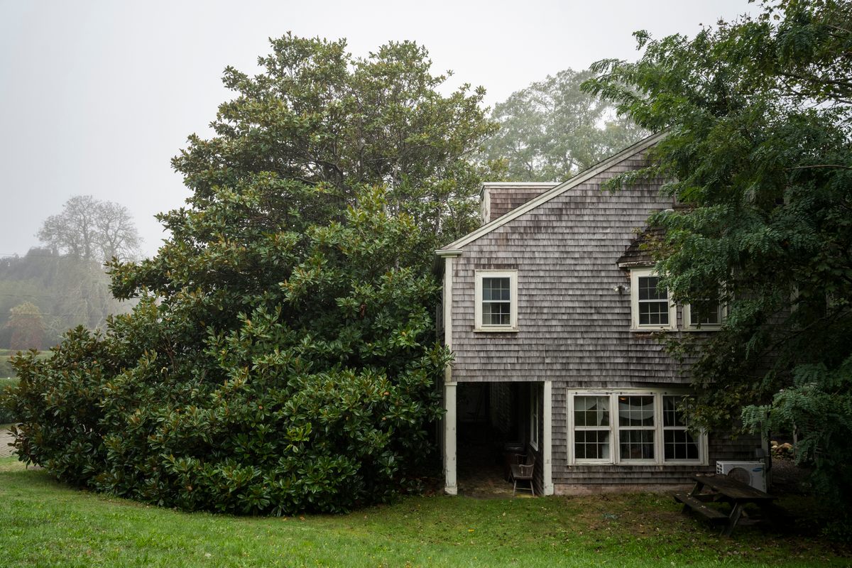 The Edward Gorey House and its southern magnolia tree—not abandoned. 