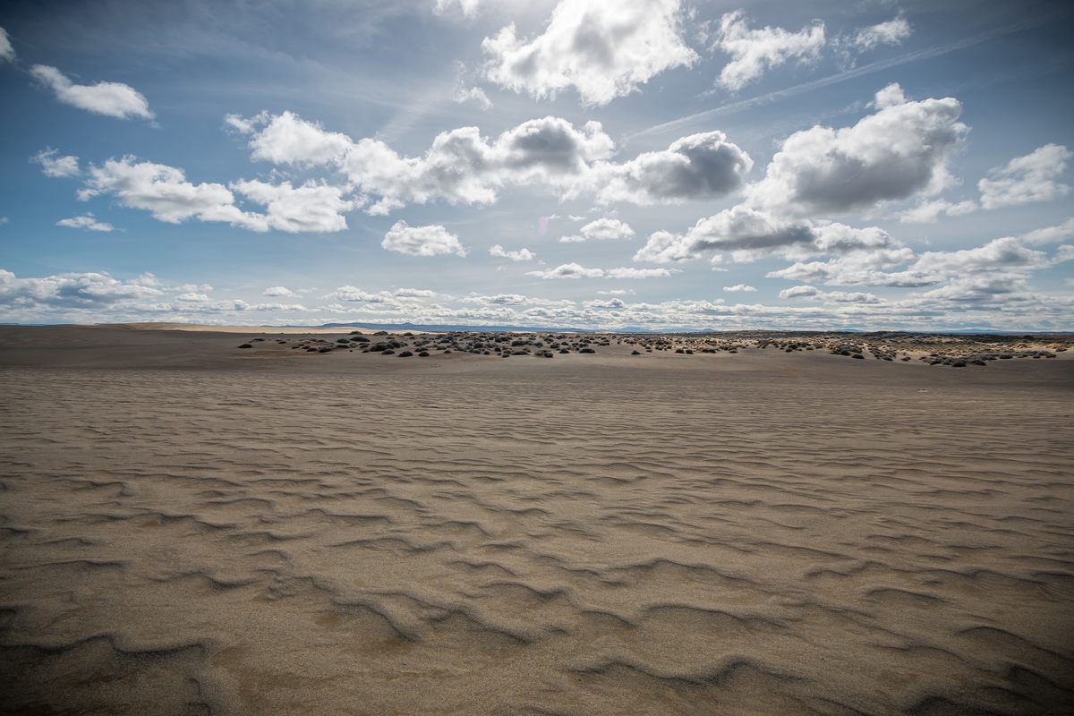 Christmas Valley Sand Dunes.