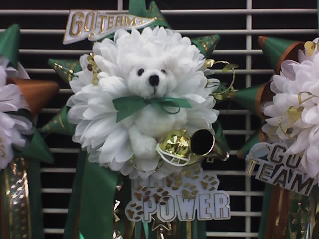 A close up of a Homecoming Mum.