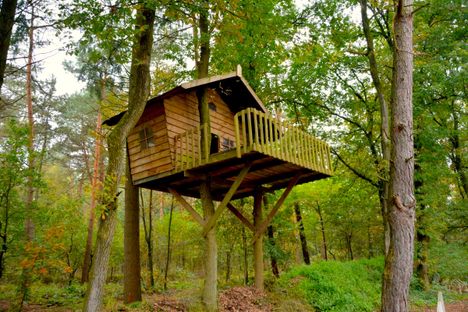All treehouses have a certain magic, don't they? 