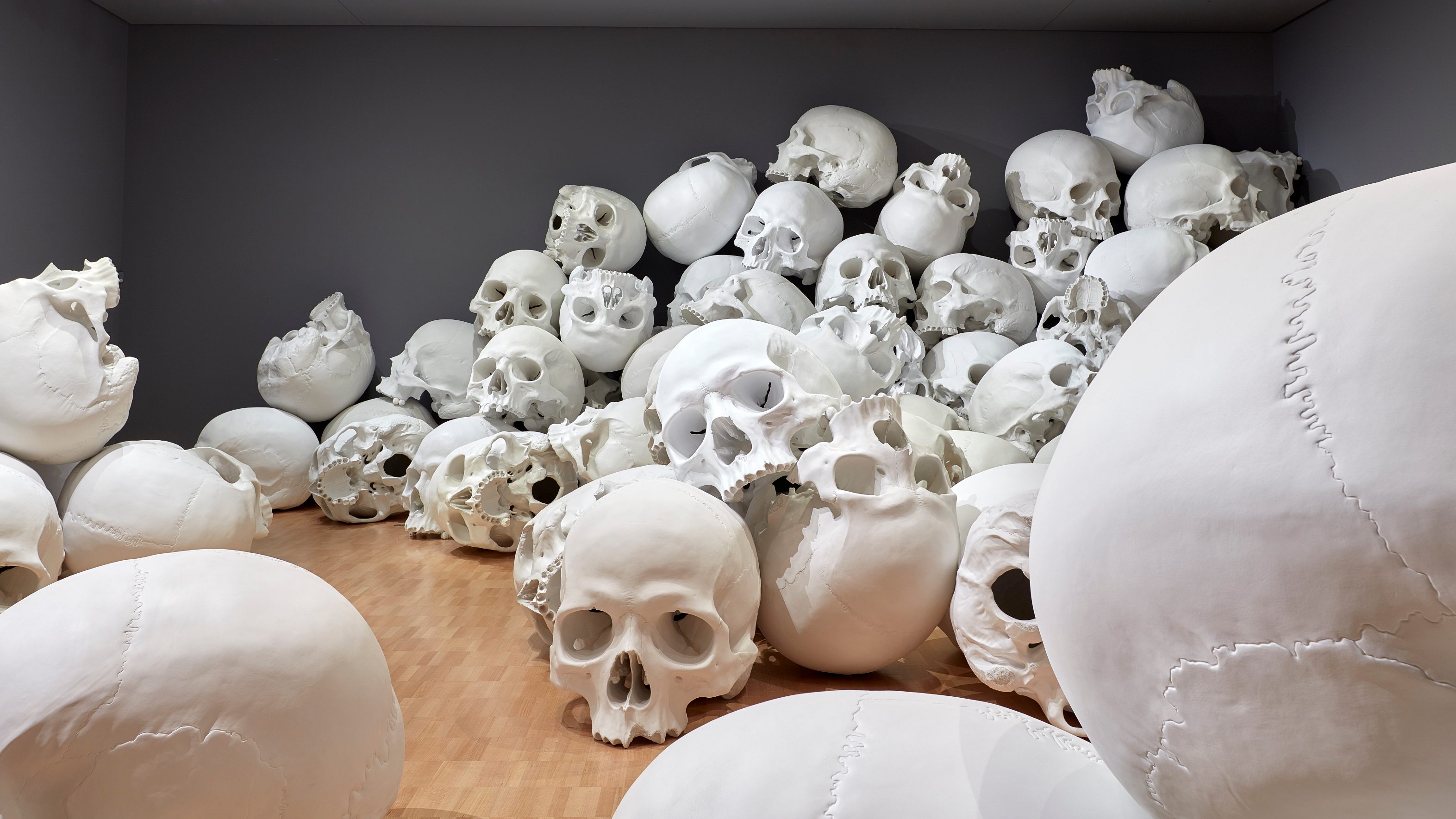 giant human skeleton museum